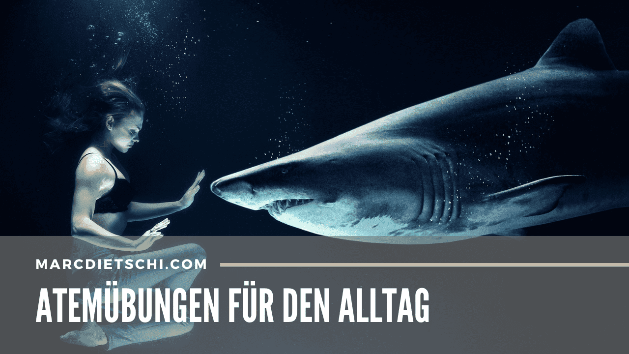 Frau unter Wasser dank einer Atemübung völlig ruhig einem Hai gegenüber tauchend.