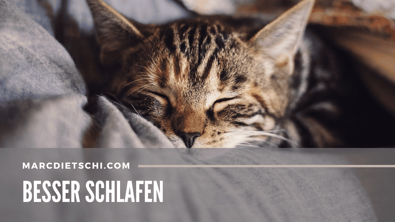 Katze beim Schlafen.