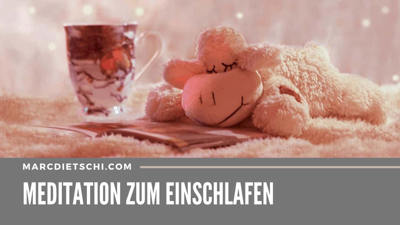 Ein Schäfchen, welches beim Lesen eingeschlafen ist.