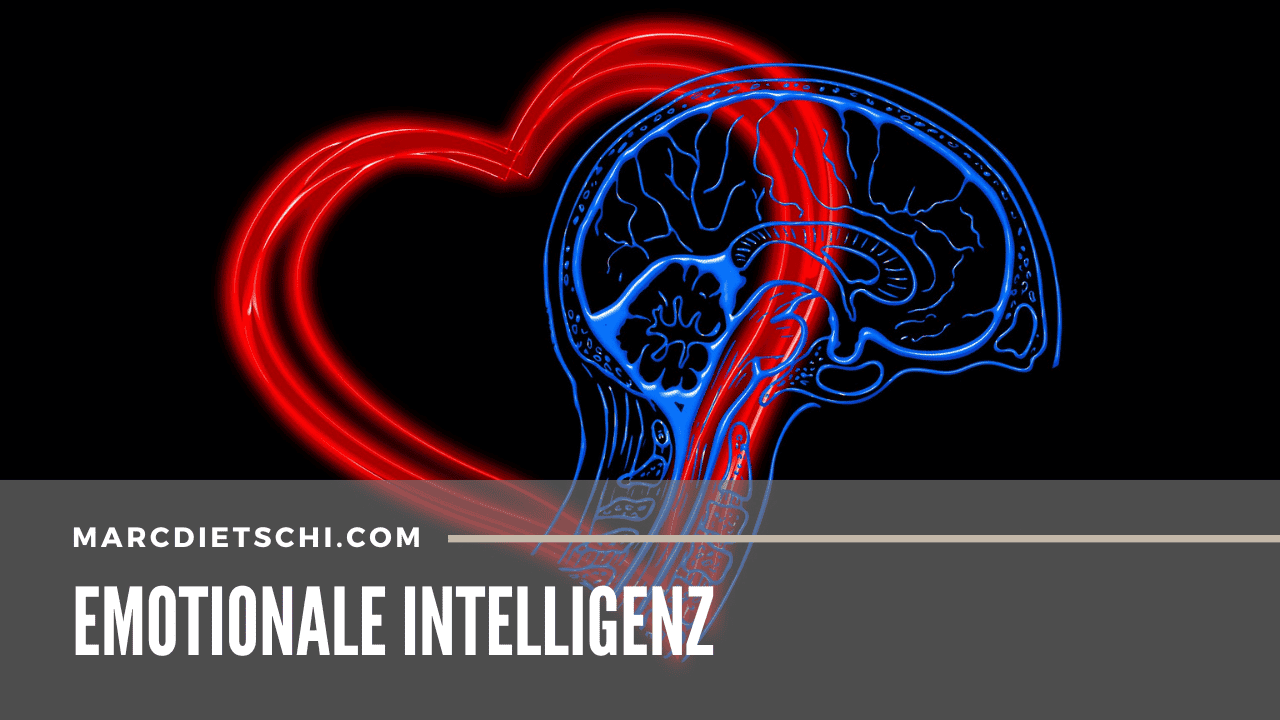 Herz und Gehirn, symbolisch für emotionale Intelligenz.