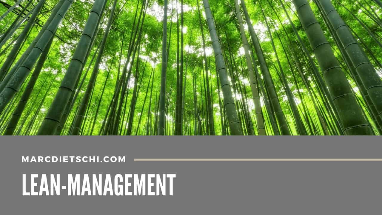 Sonnenlicht scheint durch hohe Bambusstämme, symbolisiert Wachstum und natürliche Strukturen im Kontext von Lean Management.