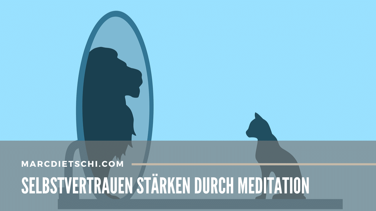 Ein Bild mit einer Katze, die in einen Spiegel schaut und das Spiegelbild eines Löwen sieht. Es symbolisiert die Stärkung des Selbstvertrauens.