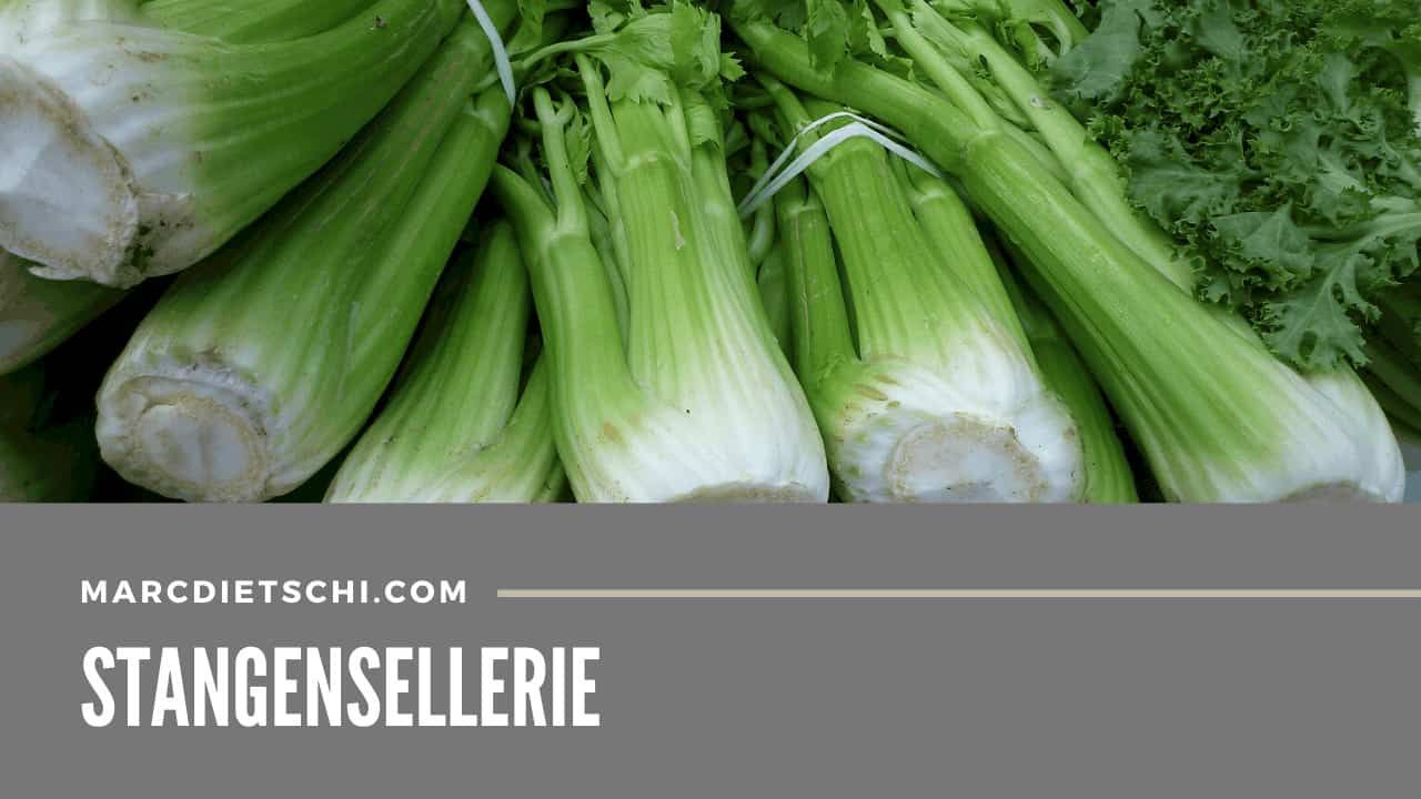 Frische Stangensellerie-Bündel in sattem Grün.