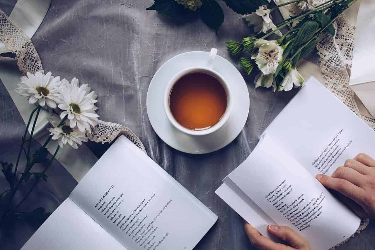Eine Tasse Griechischer Bergtee zwischen Büchern und Blumen.